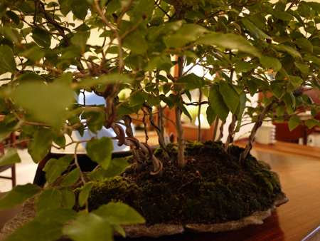 20140706-8.jpg