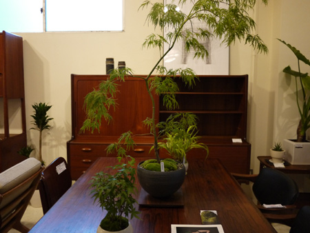 20140706-9.jpg