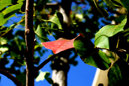 20141004-8.jpg