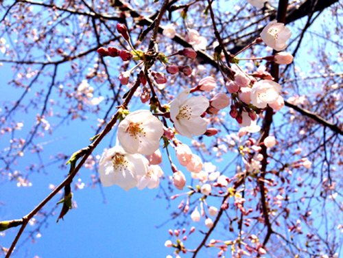 20150327-a.jpg