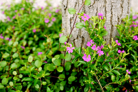 20150517-4.jpg