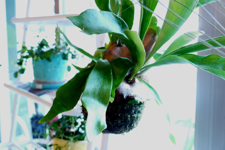 20150524-2.jpg