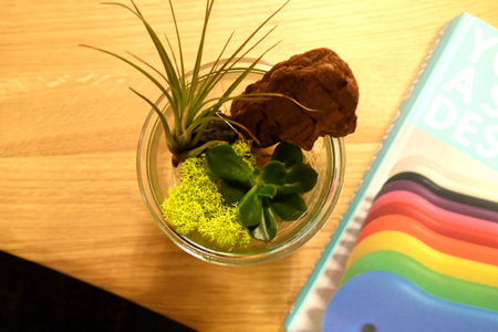 20150524-4.jpg