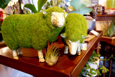 20150524-6.jpg