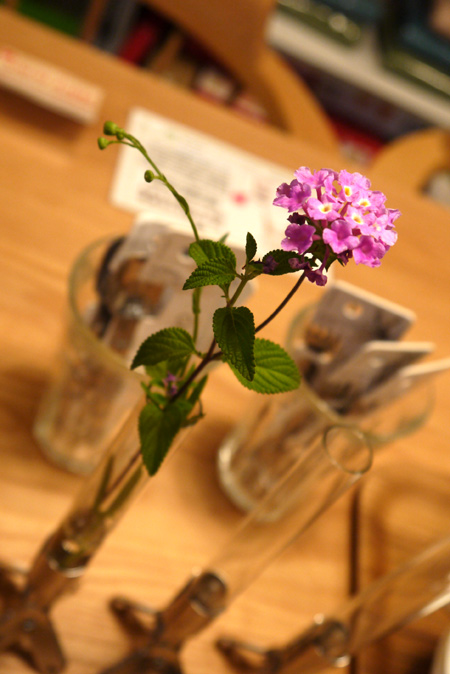 20150622-2.jpg