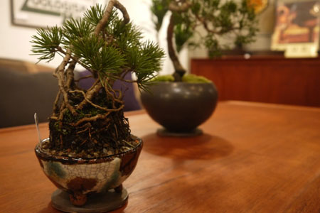 20151107-10.jpg