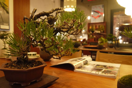 20151107-6.jpg
