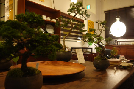 20151107-7.jpg