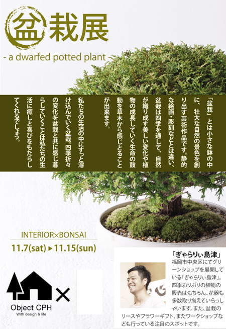 20151107-a.jpg