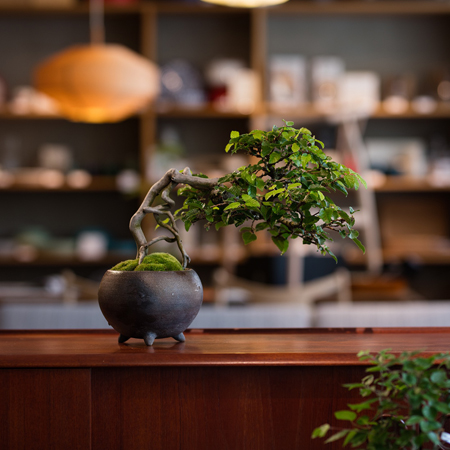 20190418-1.jpg