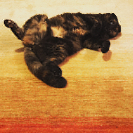 IMG_2908.jpeg