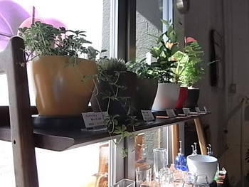 2010.0513-2.jpg