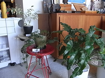 2010.0513-4.jpg