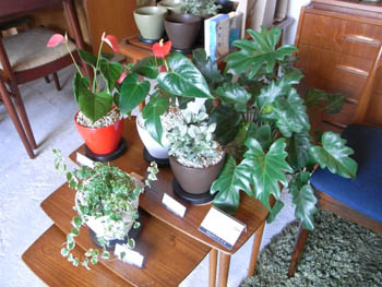 20100623-7.JPG