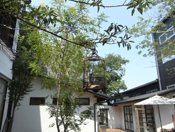 20100709-2.jpg
