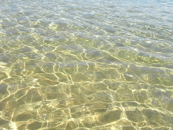 20100723-16.JPG