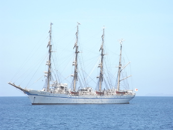 20100723-3.JPG