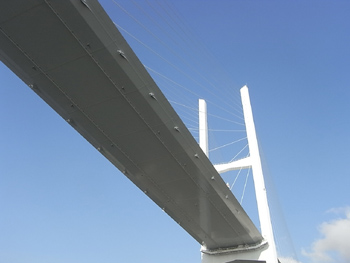 20100723-7.JPG