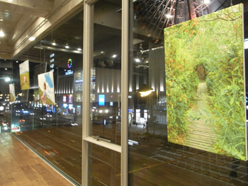 20101121-3.JPG