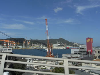 20101123 (11).JPG