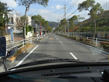 20101123 (12).JPG