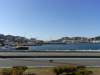 20101127-1.JPG