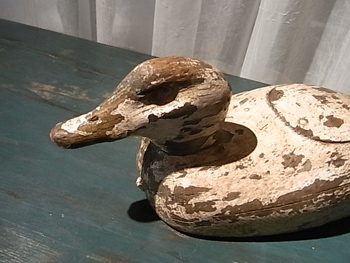 20110114-6.jpg