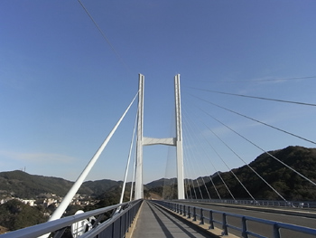 20110128-2.JPG