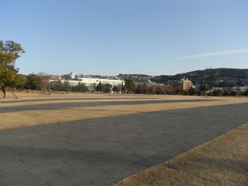 20110128-5.JPG