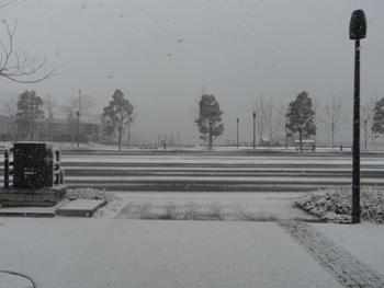 20110130-1.JPG