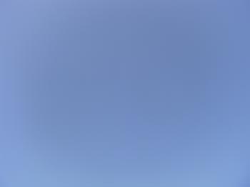 20110226-1.JPG
