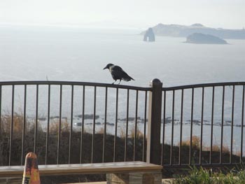 20110226-11.JPG