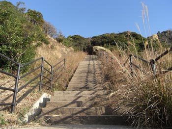 20110226-4.JPG