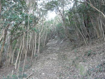 20110226-5.JPG