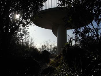 20110226-6.JPG