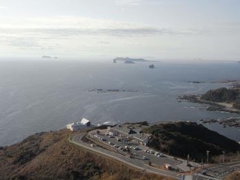 20110226-8.JPG