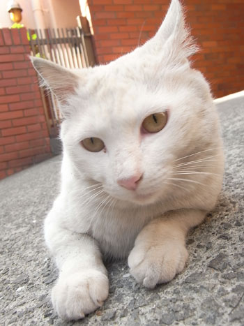 20110501-3.jpg