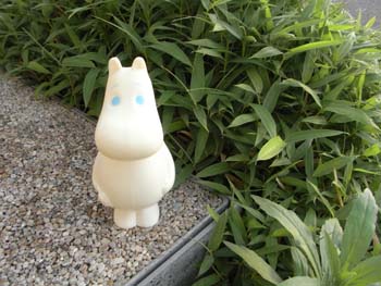 20110513-10.JPG