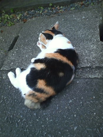 20110610-aa.jpg