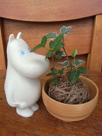 20110617-8.jpg