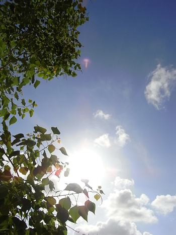 20110708-3.jpg