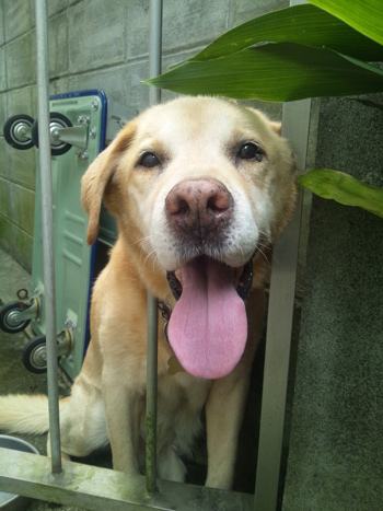 20110715-2a.jpg