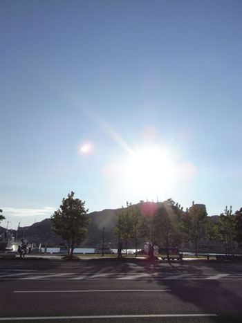 20110715-4.jpg