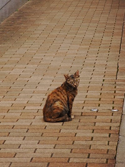 20110902-7.jpg