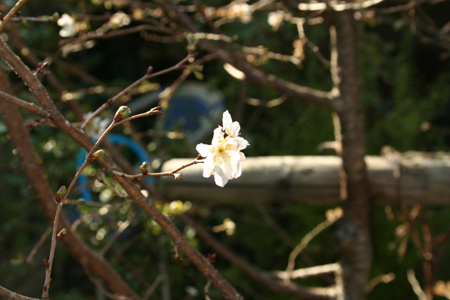 20111021-9.jpg
