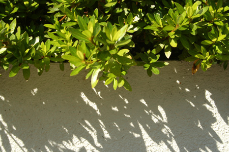 20111028-2.jpg