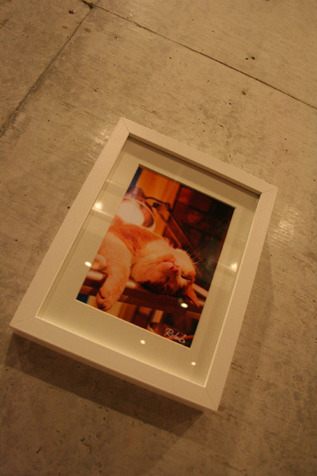 20111120-3.jpg