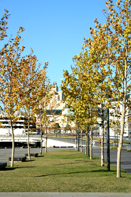 20111125-2.jpg