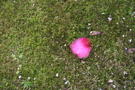20111216-16.jpg