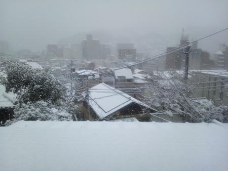 20120203-7.jpg